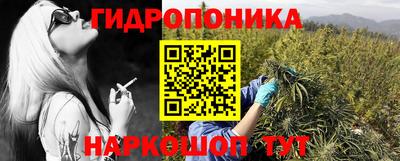 эйфоретик Камышлов