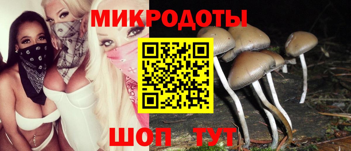 Галлюциногенные грибы Magic Shrooms Благовещенск