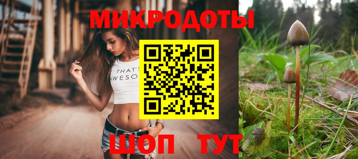 Псилоцибиновые грибы MAGIC MUSHROOMS  Вход с VPN  Благовещенск 